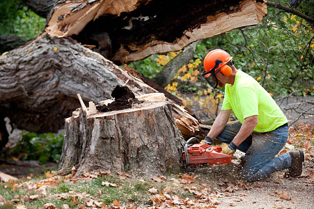 Soil Testing and Treatment in Newburg, WI